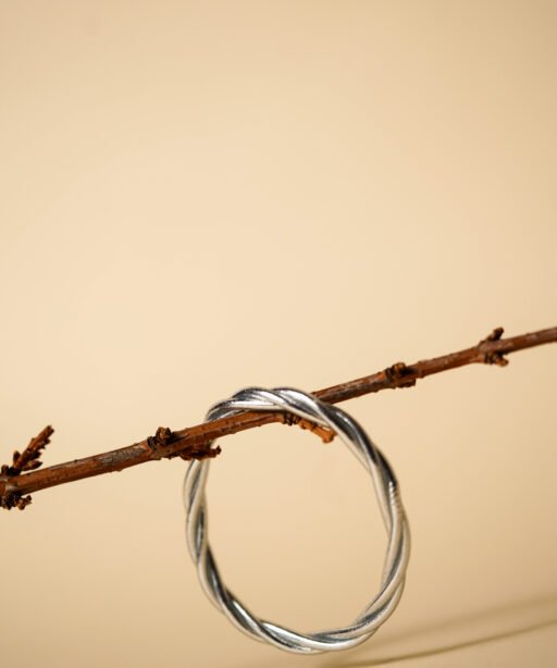 Alternative view of Silver Twisted