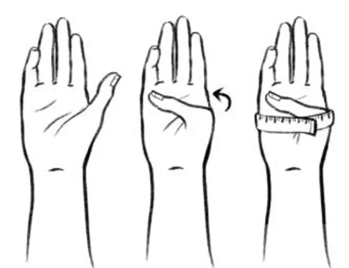 Circumference of Knuckles